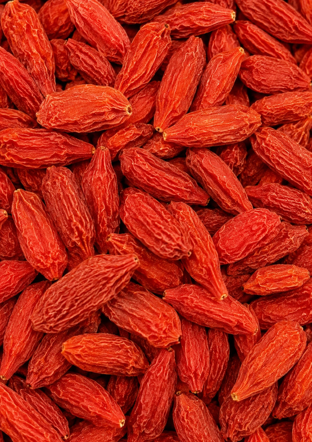 Gojibeeren