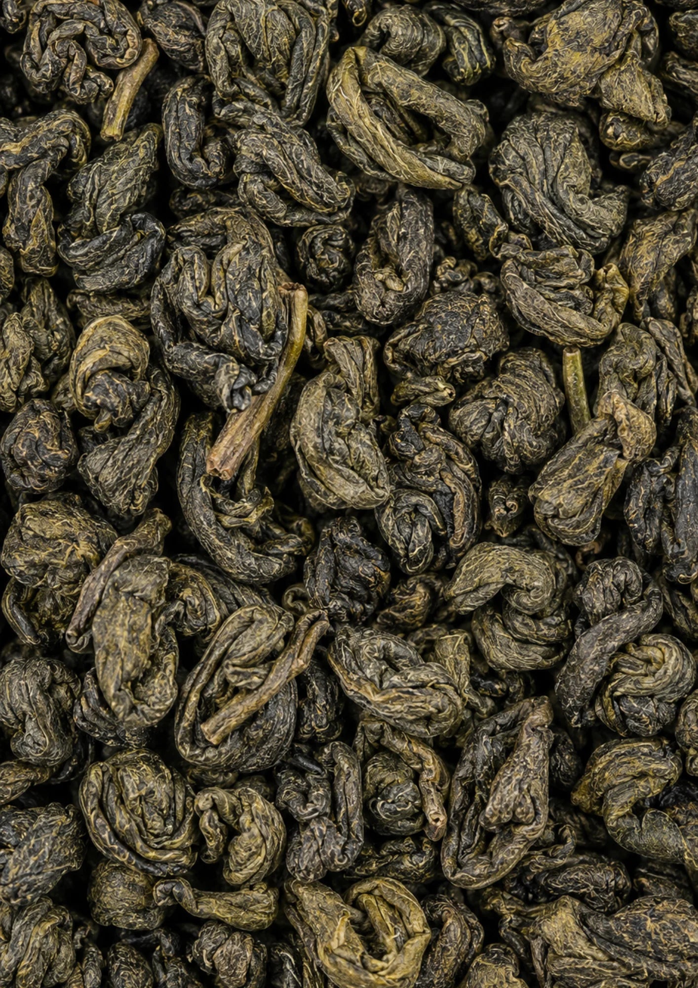 Gunpowder Premium BIO