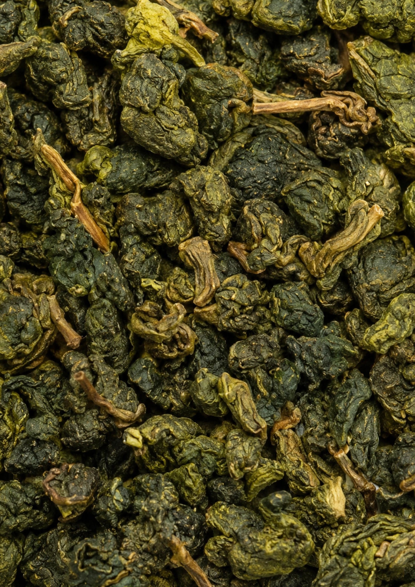 Halimun Jade Oolong BIO