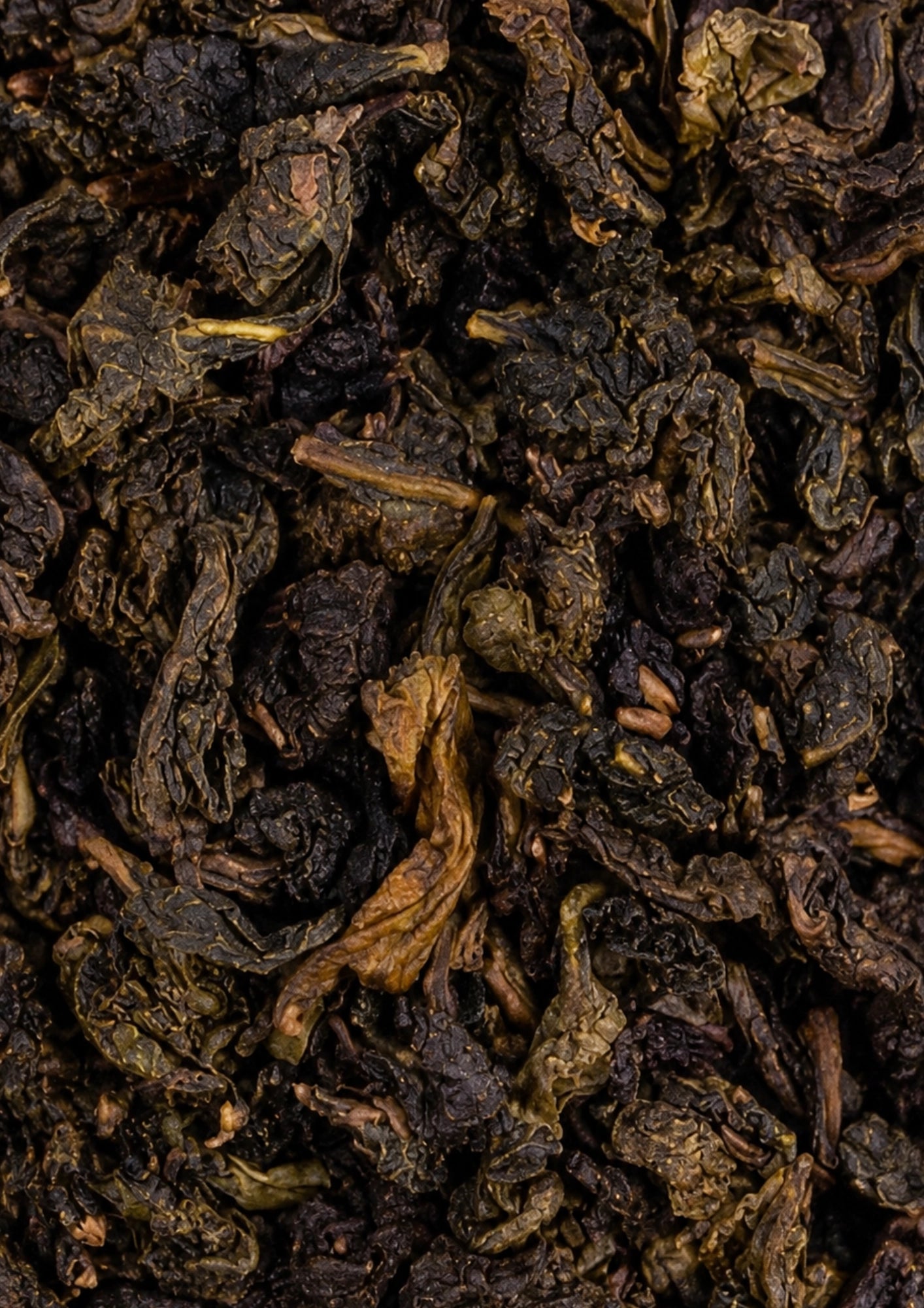 Milky Oolong
