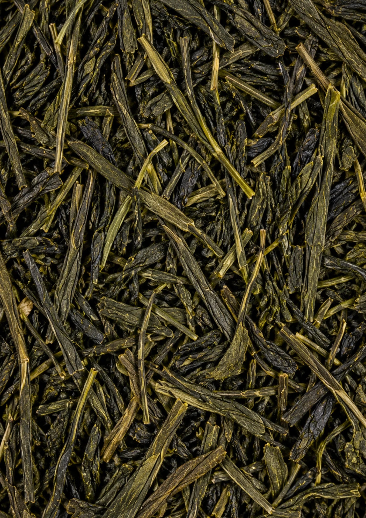Sencha Mizuki BIO