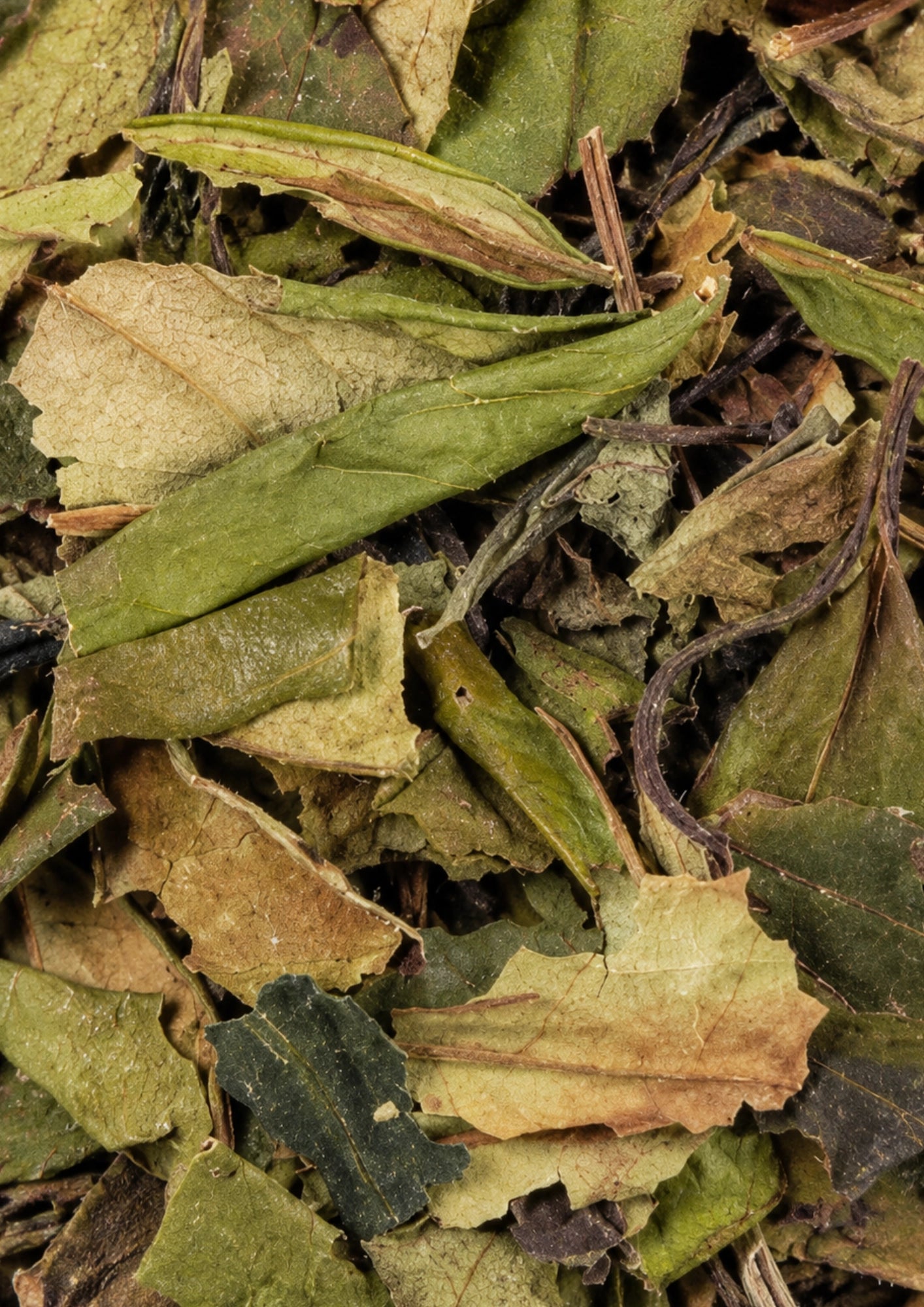 White Tea Superior Blend BIO
